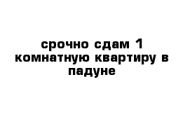 срочно сдам 1-комнатную квартиру в падуне